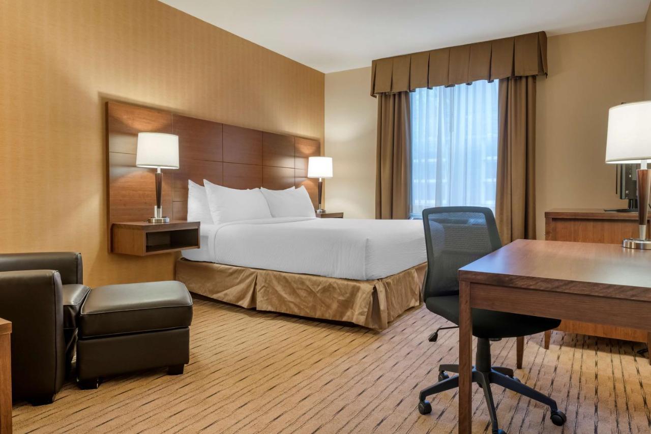 Best Western Plus, Bathurst Hotel & Suites Εξωτερικό φωτογραφία